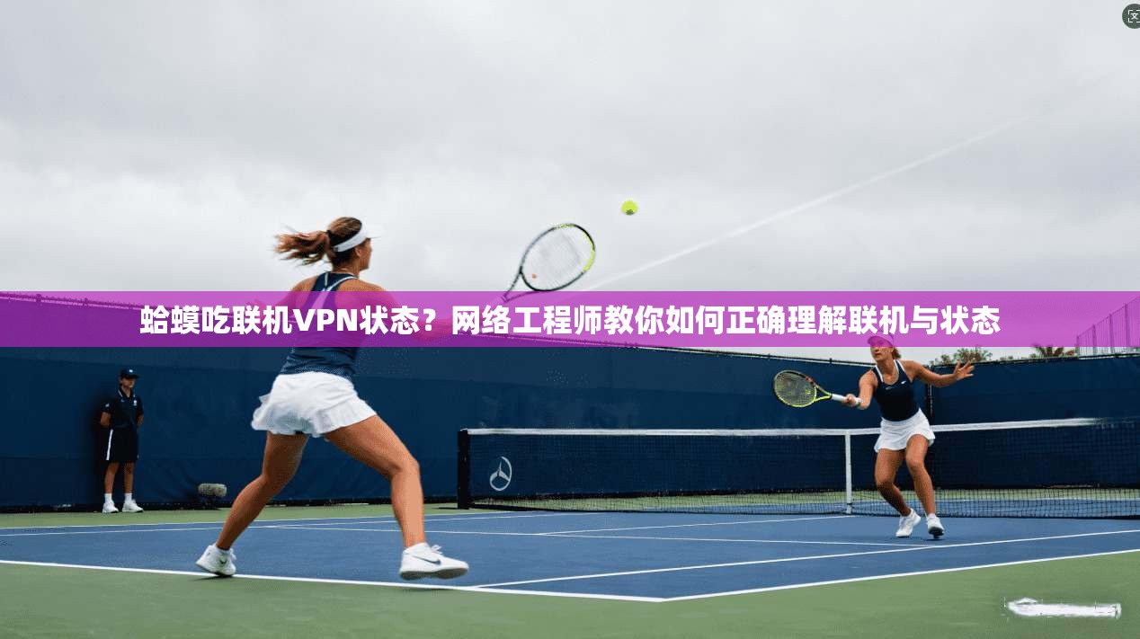 蛤蟆吃联机VPN状态？网络工程师教你如何正确理解联机与状态