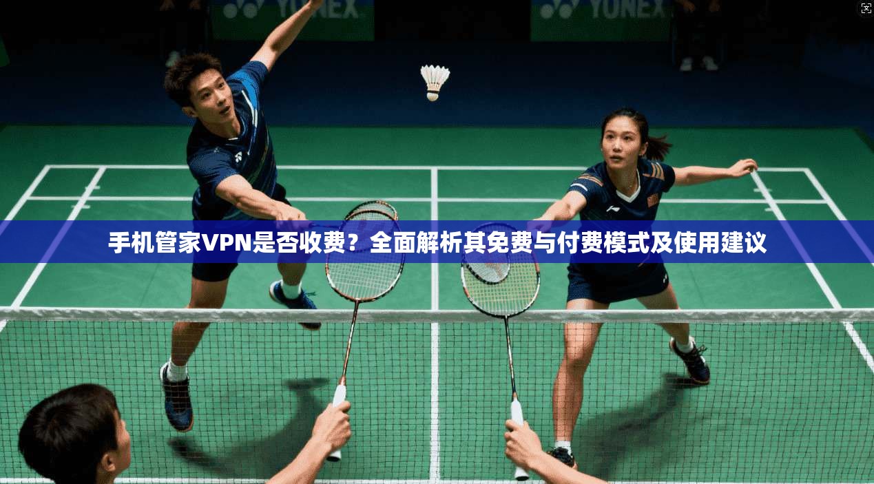 手机管家VPN是否收费？全面解析其免费与付费模式及使用建议