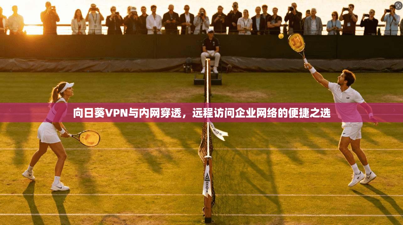 向日葵VPN与内网穿透，远程访问企业网络的便捷之选
