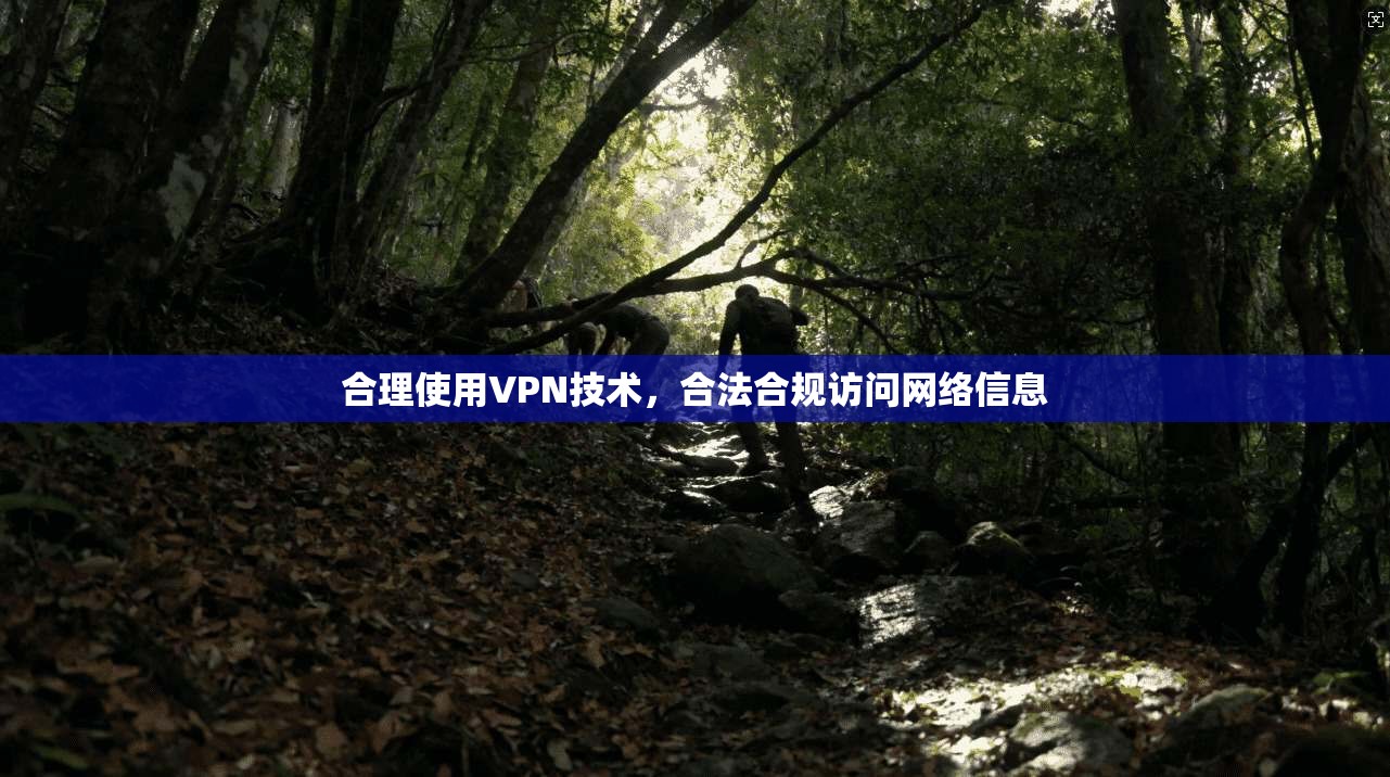 合理使用VPN技术,合法合规访问网络信息 合理使用VPN技术,合法合规访问网络信息