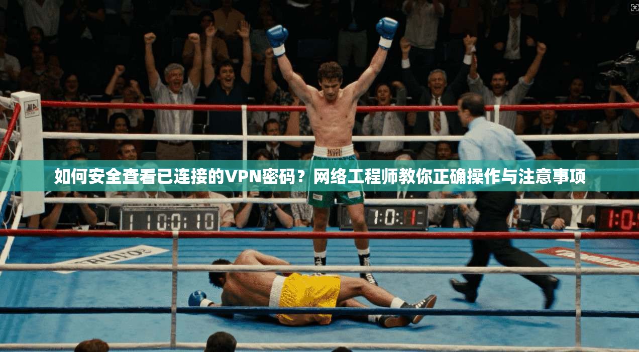 如何安全查看已连接的VPN密码？网络工程师教你正确操作与注意事项