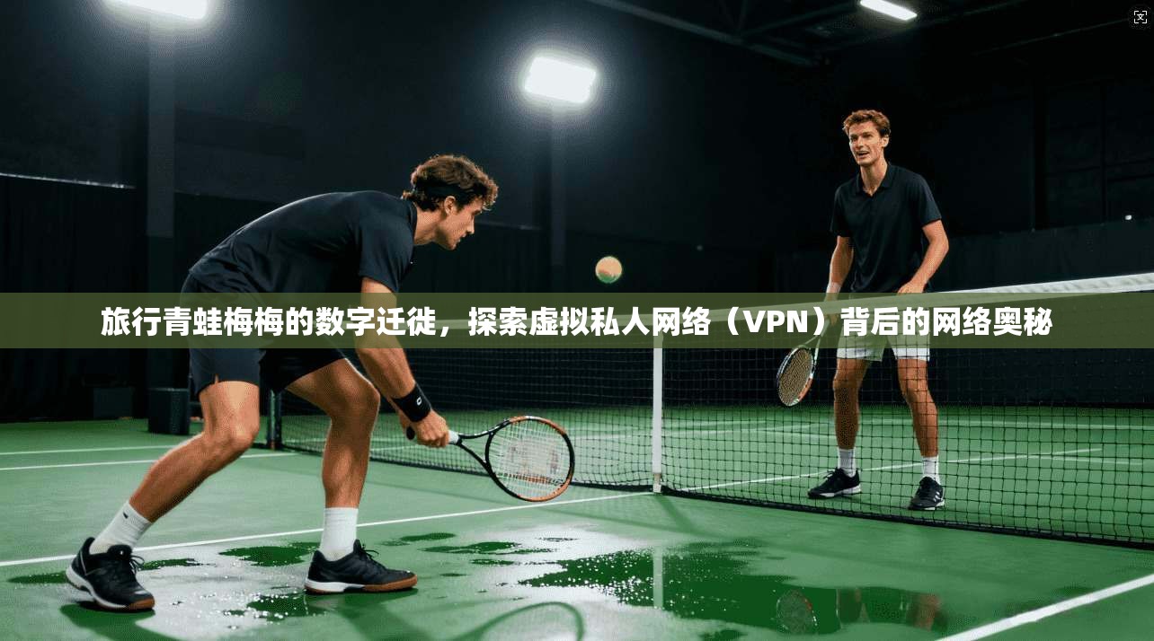 旅行青蛙梅梅的数字迁徙,探索虚拟私人网络(VPN)背后的网络奥秘 旅行青蛙梅梅的数字迁徙,探索虚拟私人网络(VPN)背后的网络奥秘