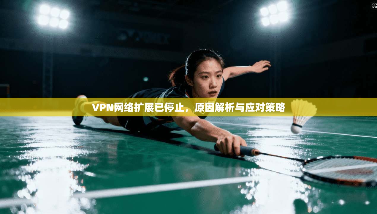 VPN网络扩展已停止，原因解析与应对策略