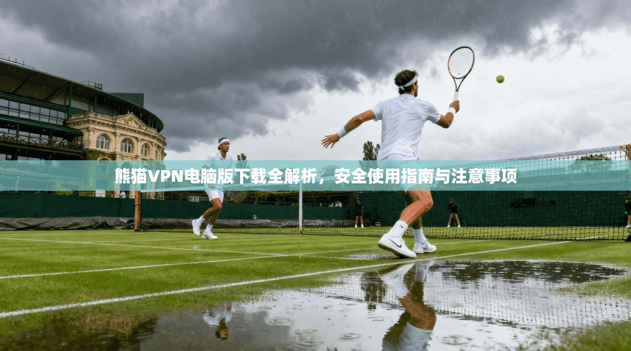 熊猫VPN电脑版下载全解析，安全使用指南与注意事项