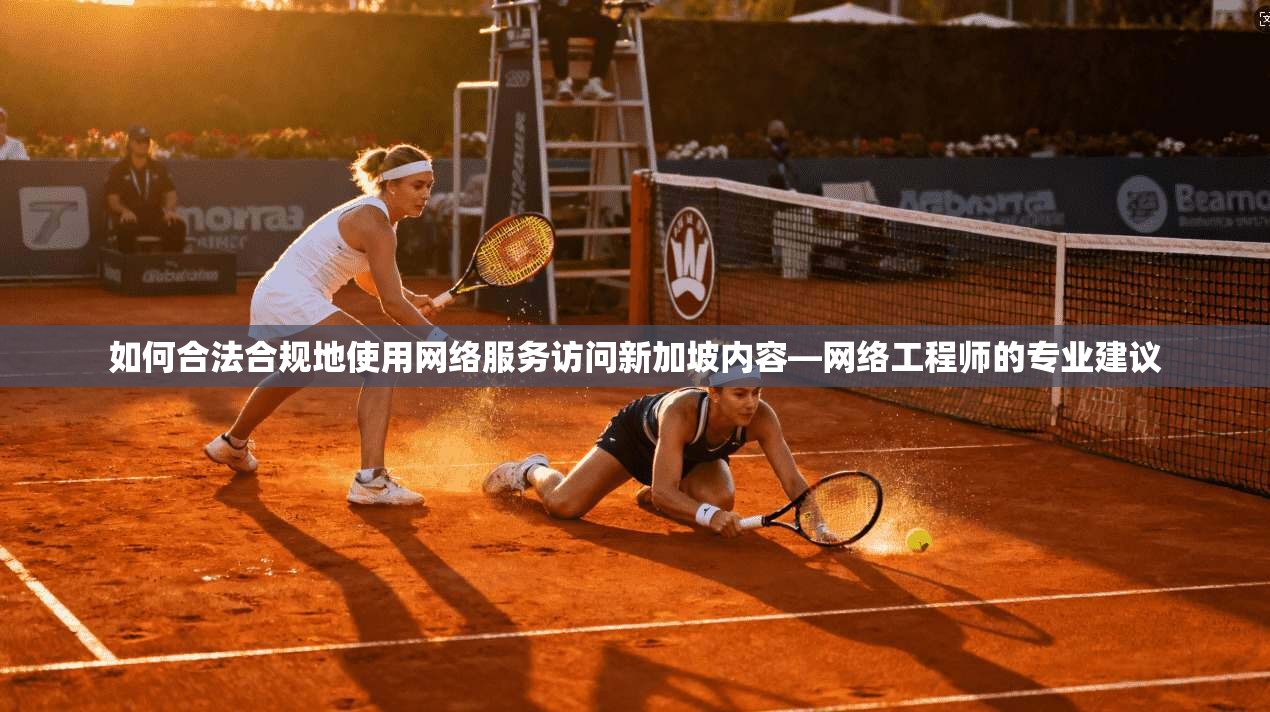 如何合法合规地使用网络服务访问新加坡内容—网络工程师的专业建议