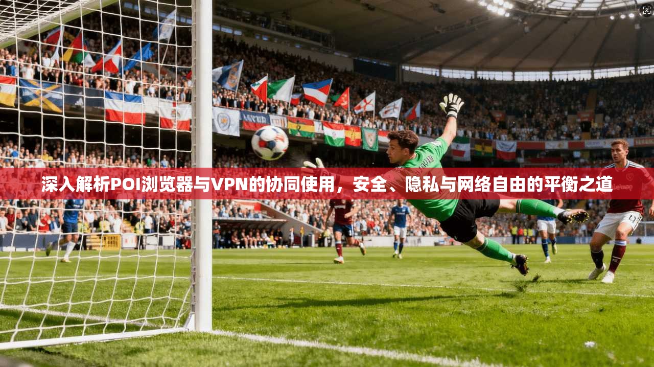 深入解析POI浏览器与VPN的协同使用，安全、隐私与网络自由的平衡之道