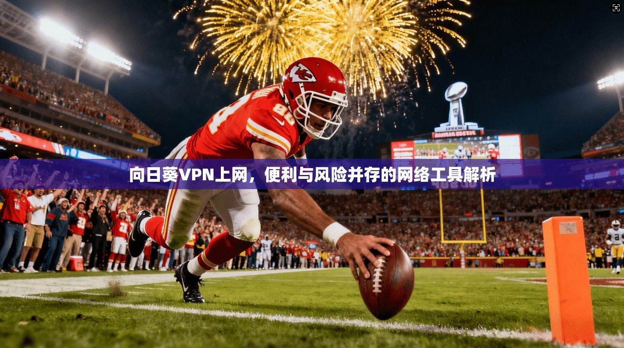 向日葵VPN上网，便利与风险并存的网络工具解析