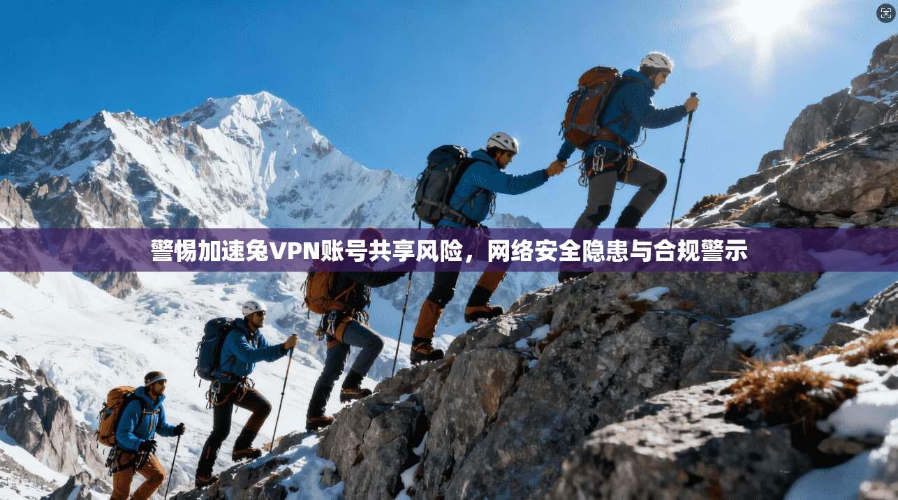 警惕加速兔VPN账号共享风险，网络安全隐患与合规警示