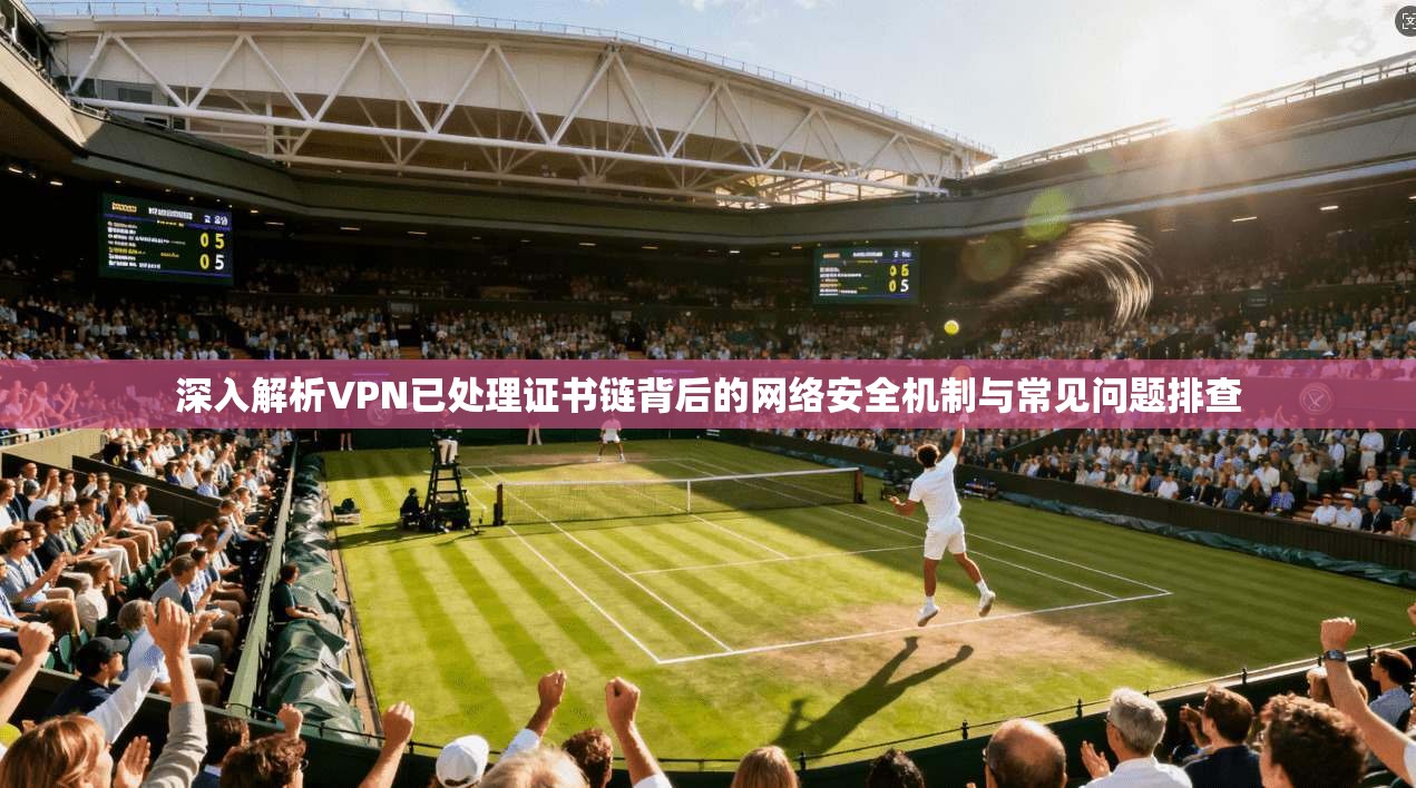 深入解析VPN已处理证书链背后的网络安全机制与常见问题排查 深入解析VPN已处理证书链背后的网络安全机制与常见问题排查