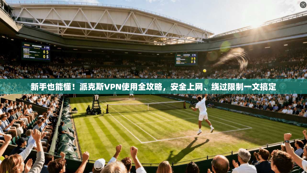 新手也能懂！派克斯VPN使用全攻略，安全上网、绕过限制一文搞定