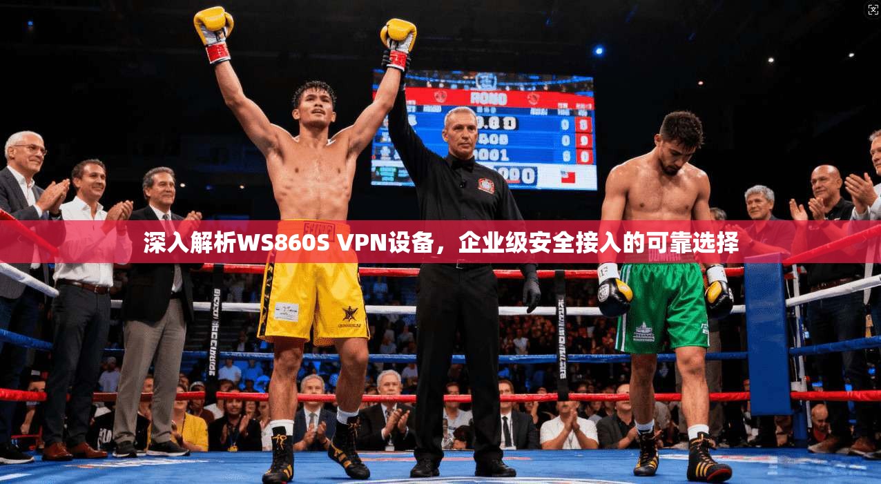 深入解析WS860S VPN设备，企业级安全接入的可靠选择