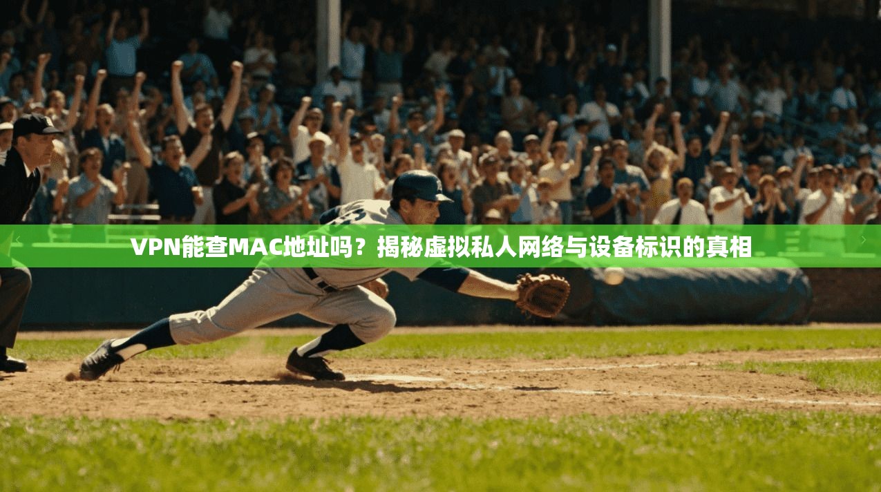 VPN能查MAC地址吗？揭秘虚拟私人网络与设备标识的真相