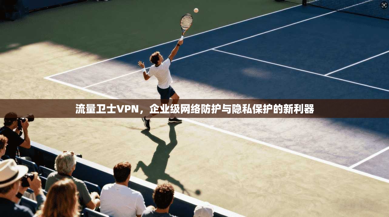 流量卫士VPN，企业级网络防护与隐私保护的新利器