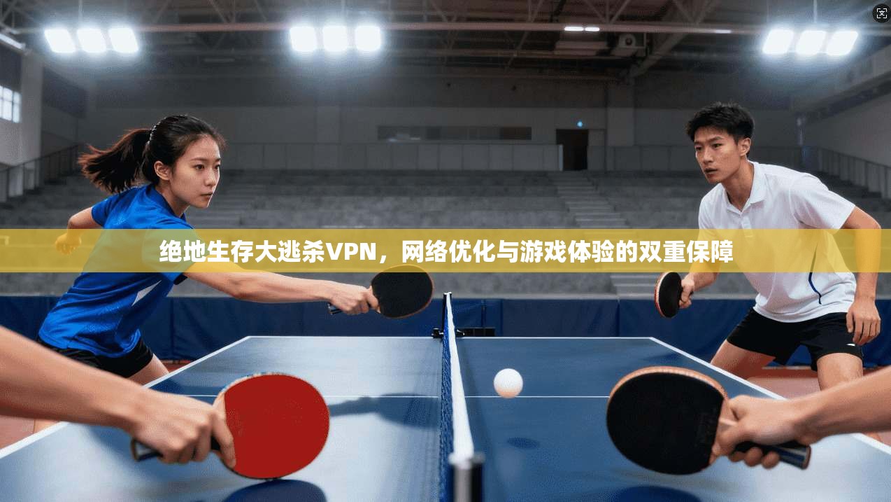 绝地生存大逃杀VPN，网络优化与游戏体验的双重保障