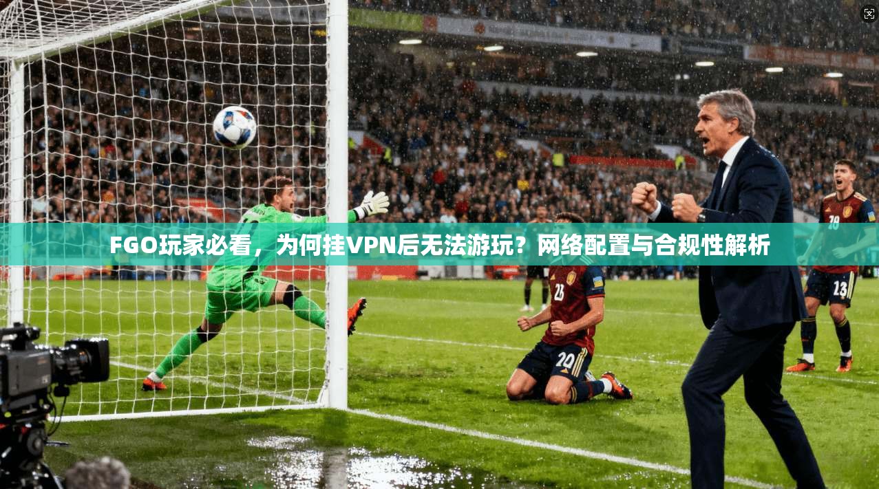 FGO玩家必看，为何挂VPN后无法游玩？网络配置与合规性解析