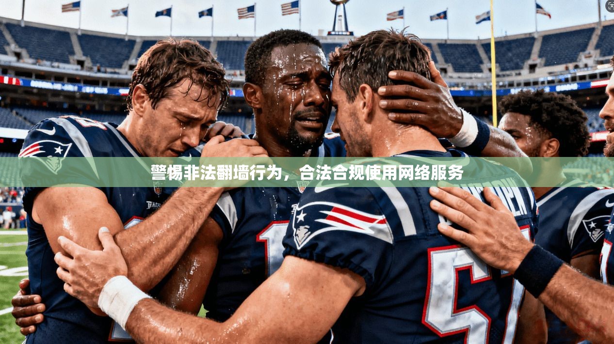 警惕非法翻墙行为，合法合规使用网络服务
