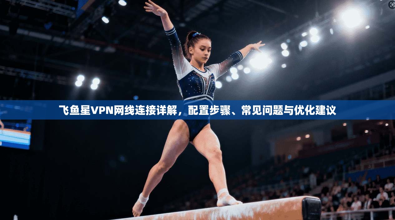 飞鱼星VPN网线连接详解，配置步骤、常见问题与优化建议