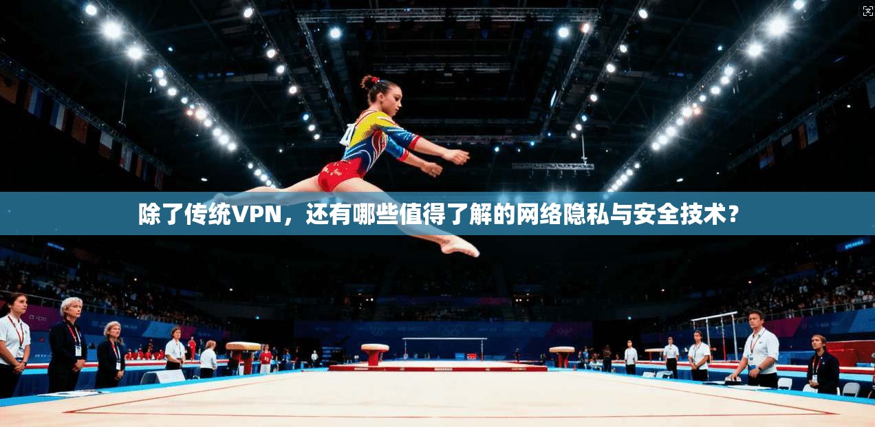 除了传统VPN，还有哪些值得了解的网络隐私与安全技术？