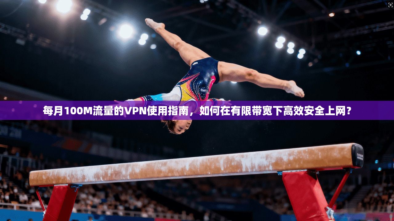 每月100M流量的VPN使用指南，如何在有限带宽下高效安全上网？