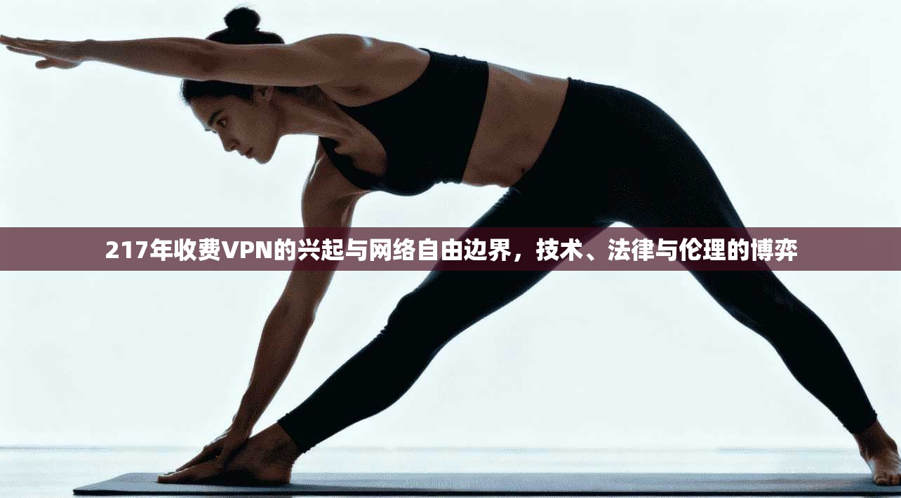 217年收费VPN的兴起与网络自由边界，技术、法律与伦理的博弈