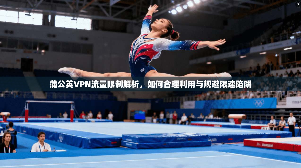蒲公英VPN流量限制解析，如何合理利用与规避限速陷阱