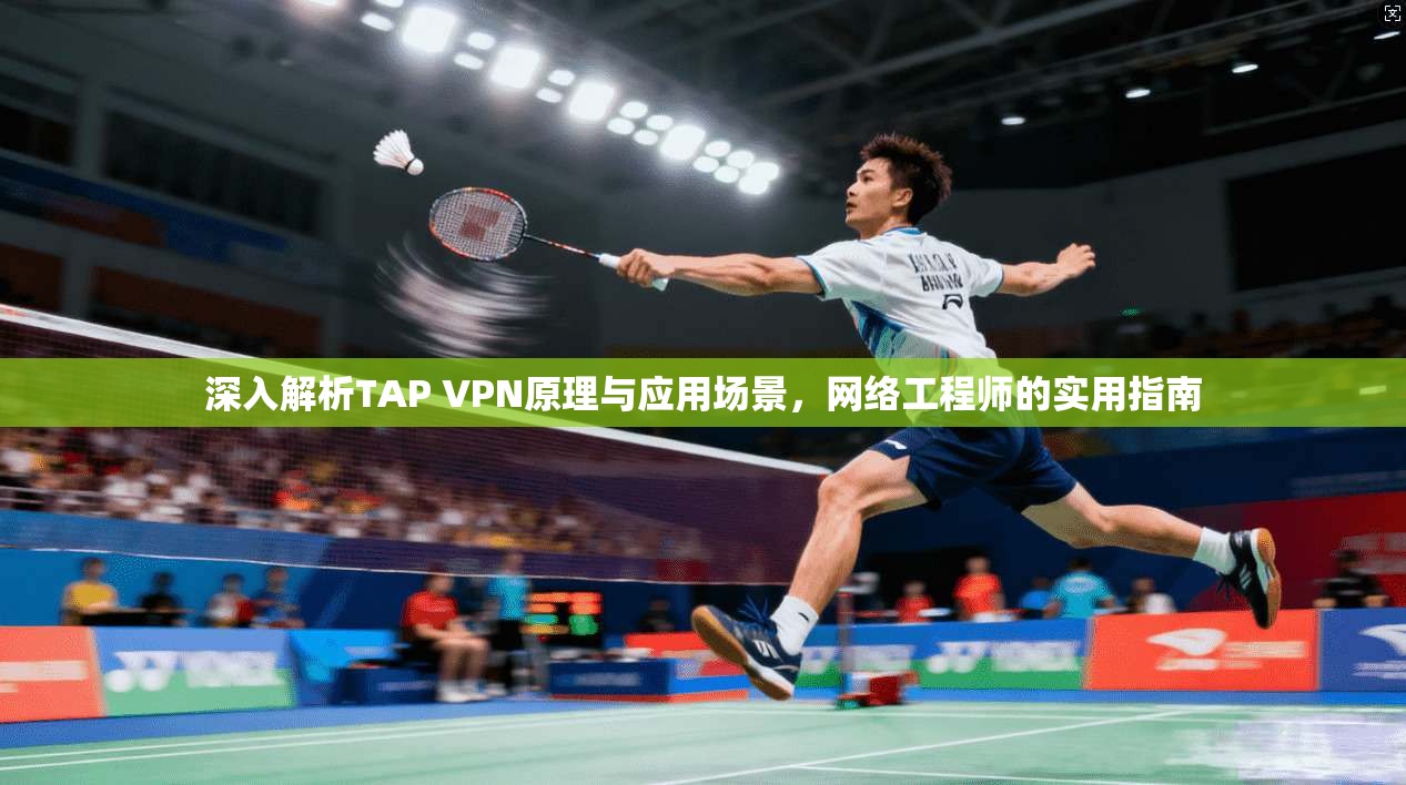 深入解析TAP VPN原理与应用场景，网络工程师的实用指南