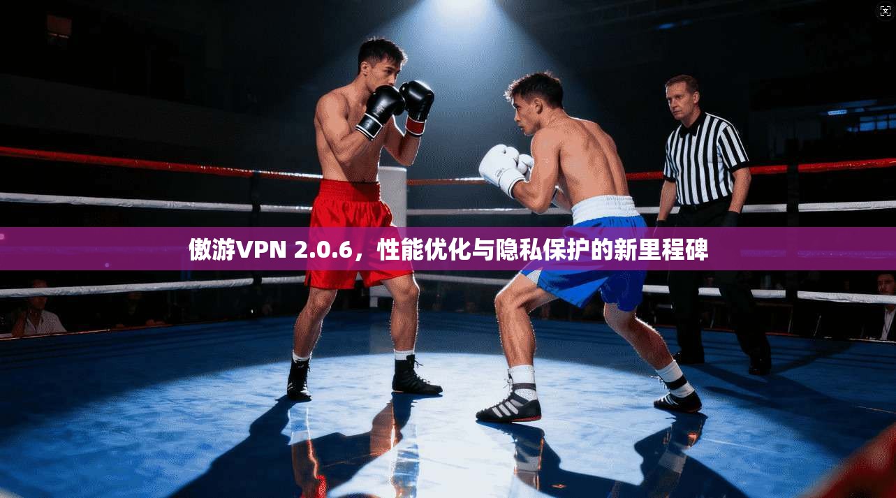傲游VPN 2.0.6，性能优化与隐私保护的新里程碑