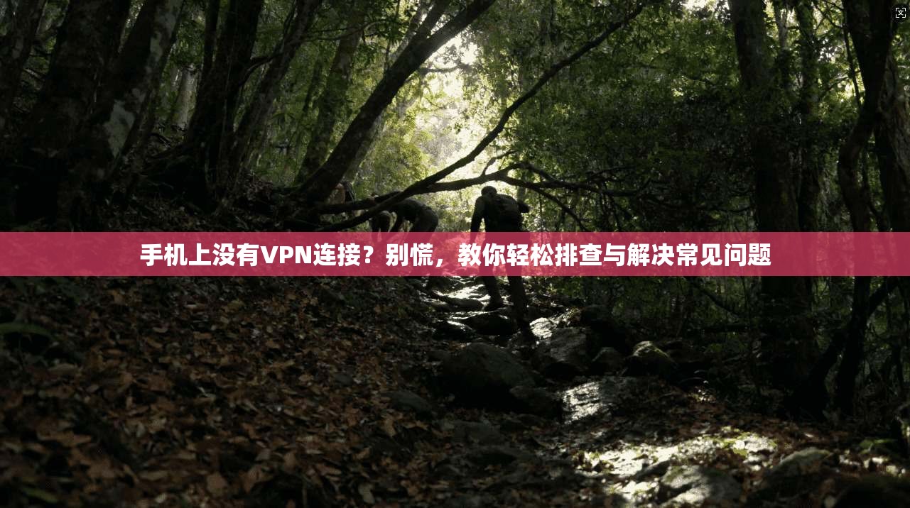 手机上没有VPN连接？别慌，教你轻松排查与解决常见问题