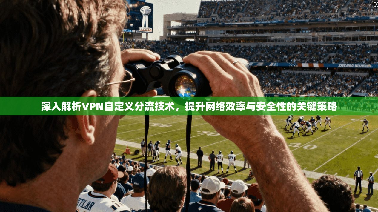 深入解析VPN自定义分流技术，提升网络效率与安全性的关键策略