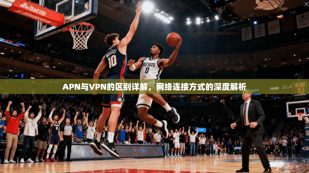 APN与VPN的区别详解，网络连接方式的深度解析