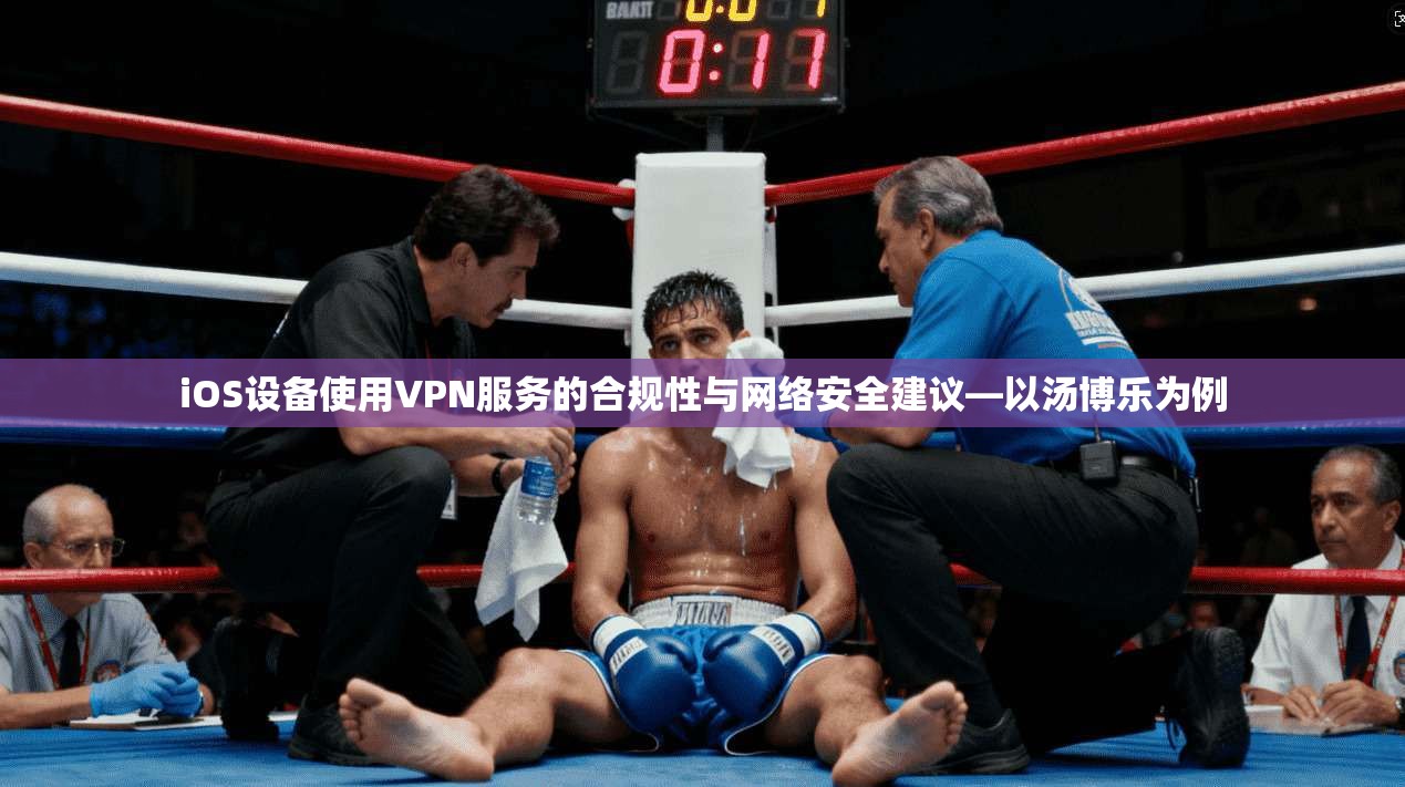 iOS设备使用VPN服务的合规性与网络安全建议—以汤博乐为例