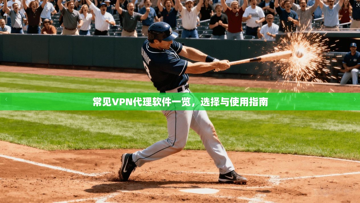 常见VPN代理软件一览,选择与使用指南 常见VPN代理软件一览,选择与使用指南