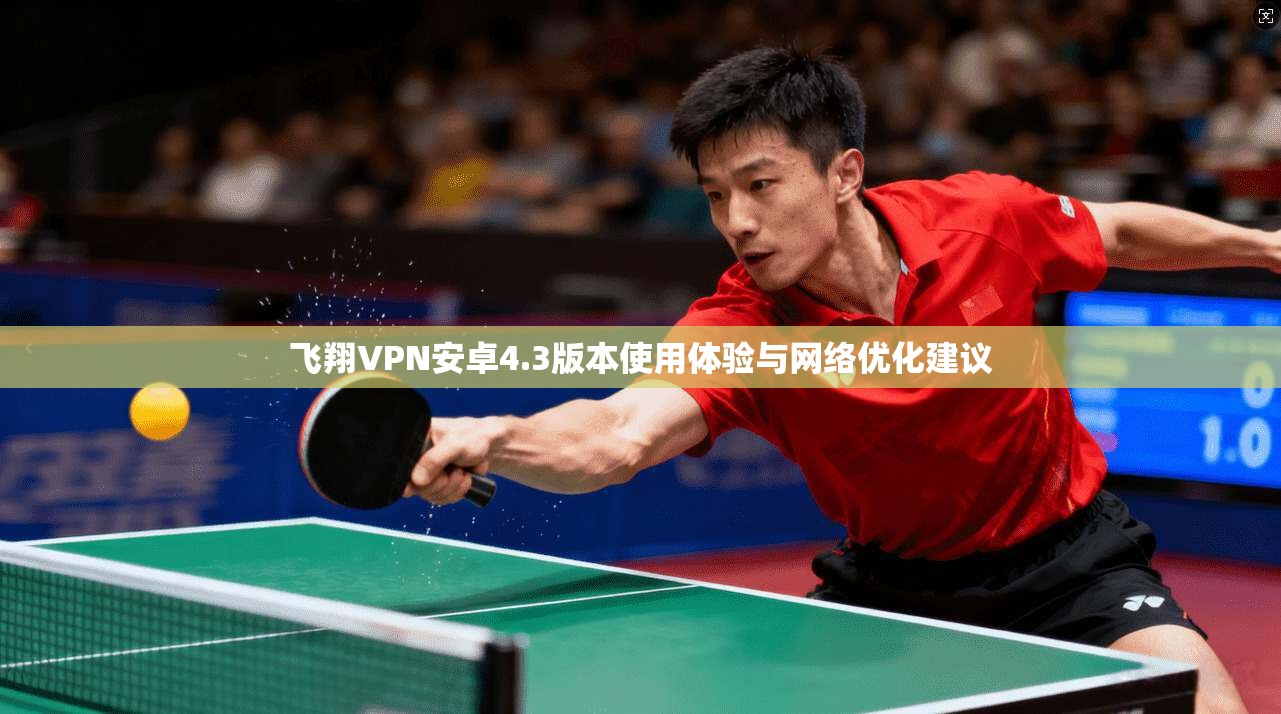 飞翔VPN安卓4.3版本使用体验与网络优化建议