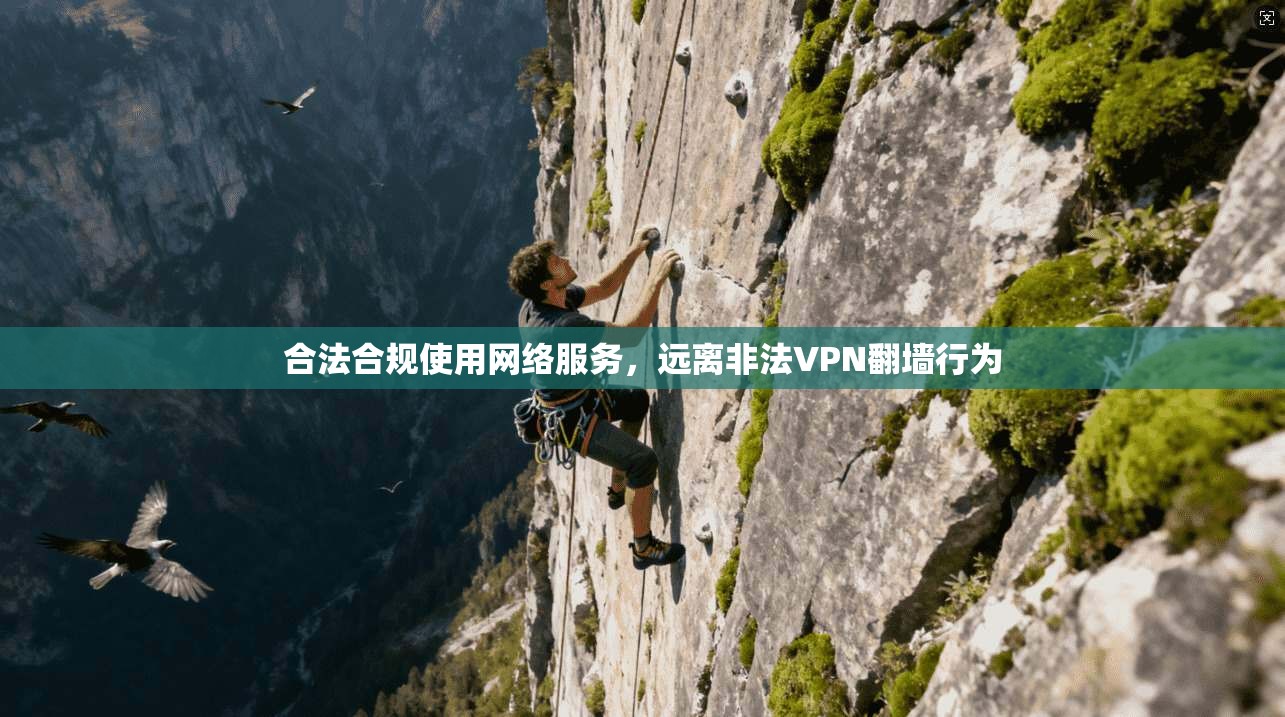 合法合规使用网络服务，远离非法VPN翻墙行为
