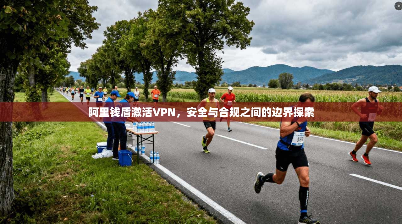 阿里钱盾激活VPN，安全与合规之间的边界探索