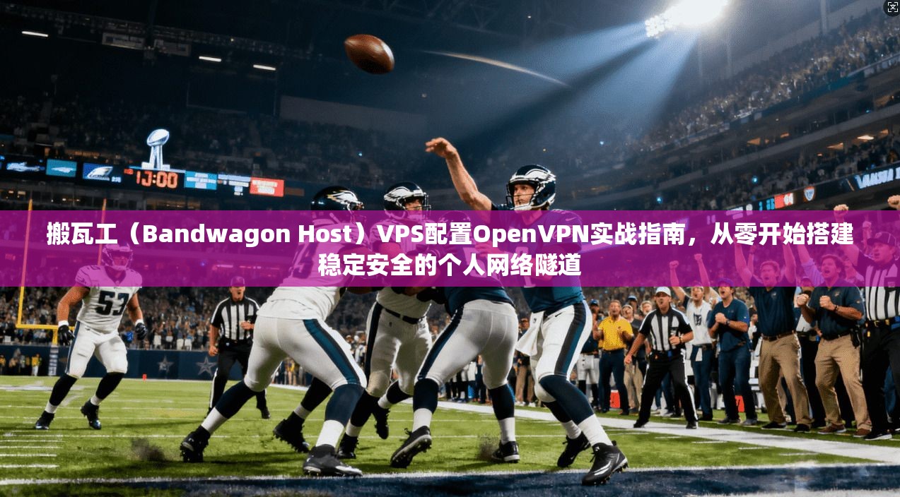 搬瓦工（Bandwagon Host）VPS配置OpenVPN实战指南，从零开始搭建稳定安全的个人网络隧道