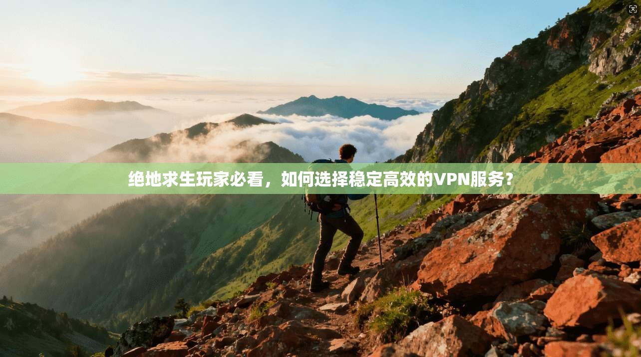 绝地求生玩家必看，如何选择稳定高效的VPN服务？
