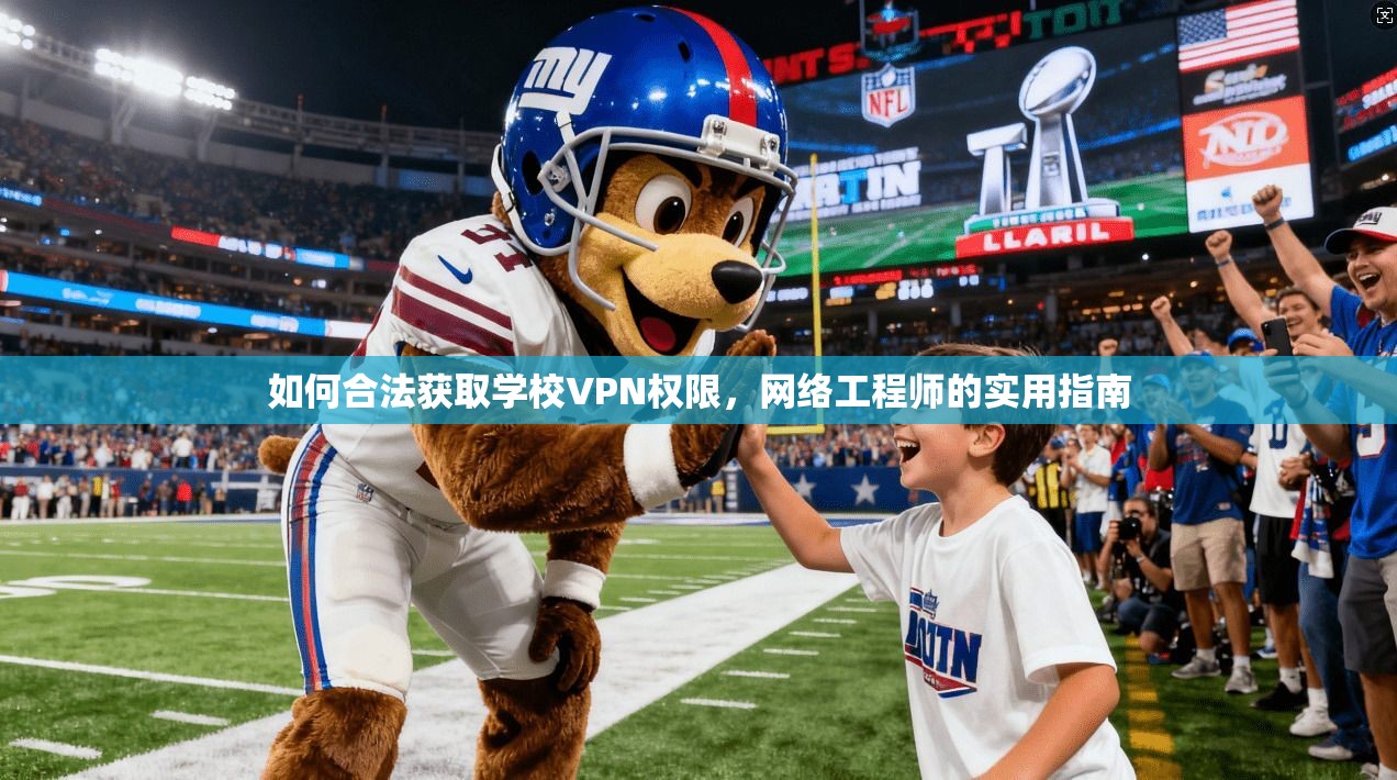 如何合法获取学校VPN权限，网络工程师的实用指南