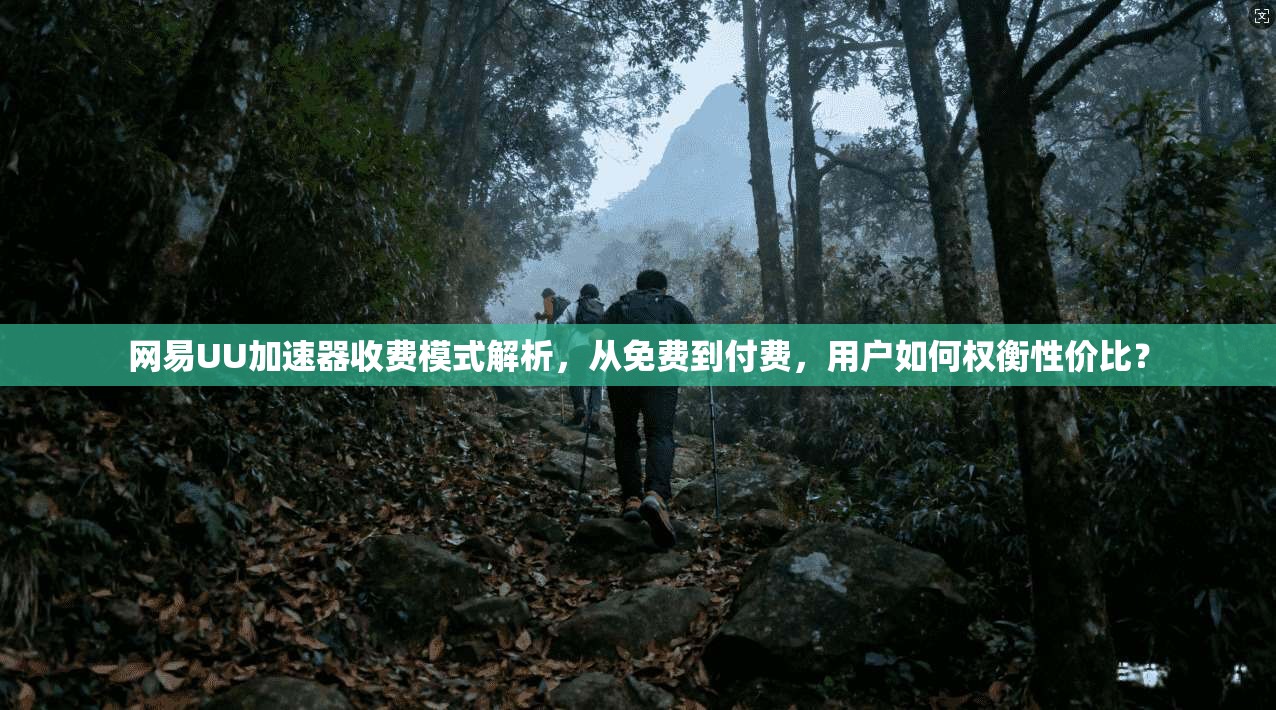 网易UU加速器收费模式解析,从免费到付费,用户如何权衡性价比? 网易UU加速器收费模式解析,从免费到付费,用户如何权衡性价比?