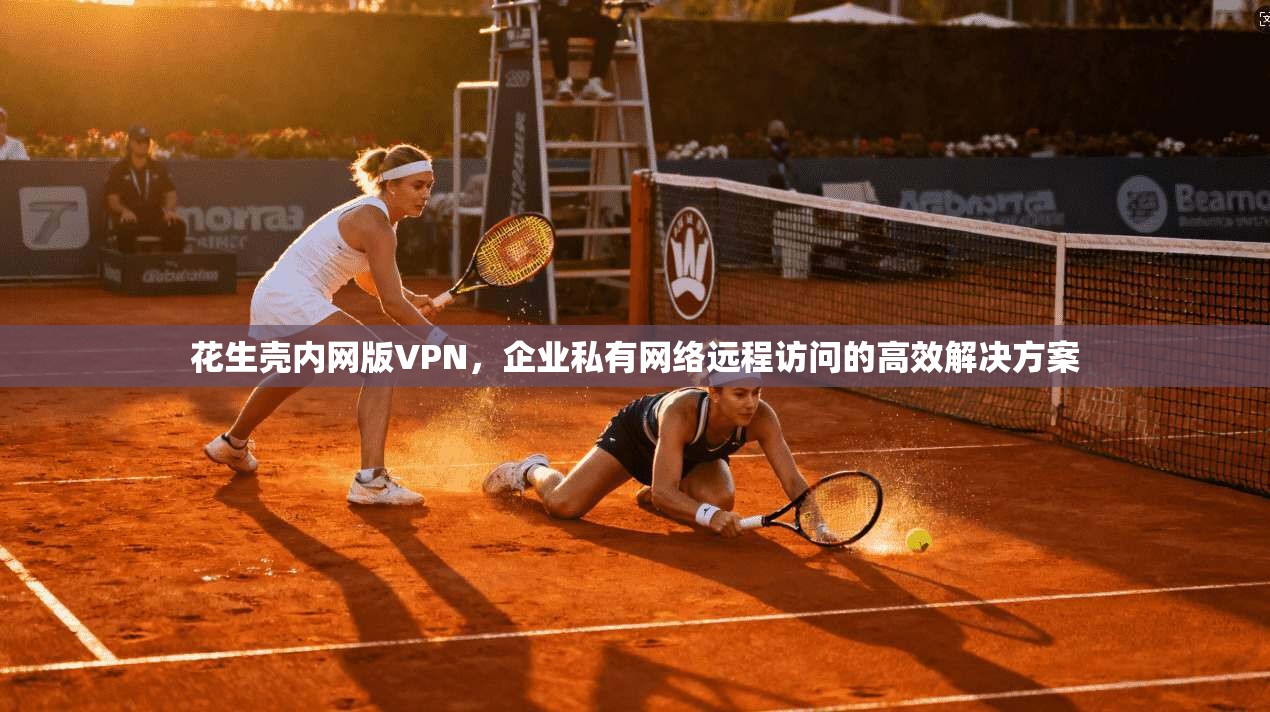 花生壳内网版VPN，企业私有网络远程访问的高效解决方案