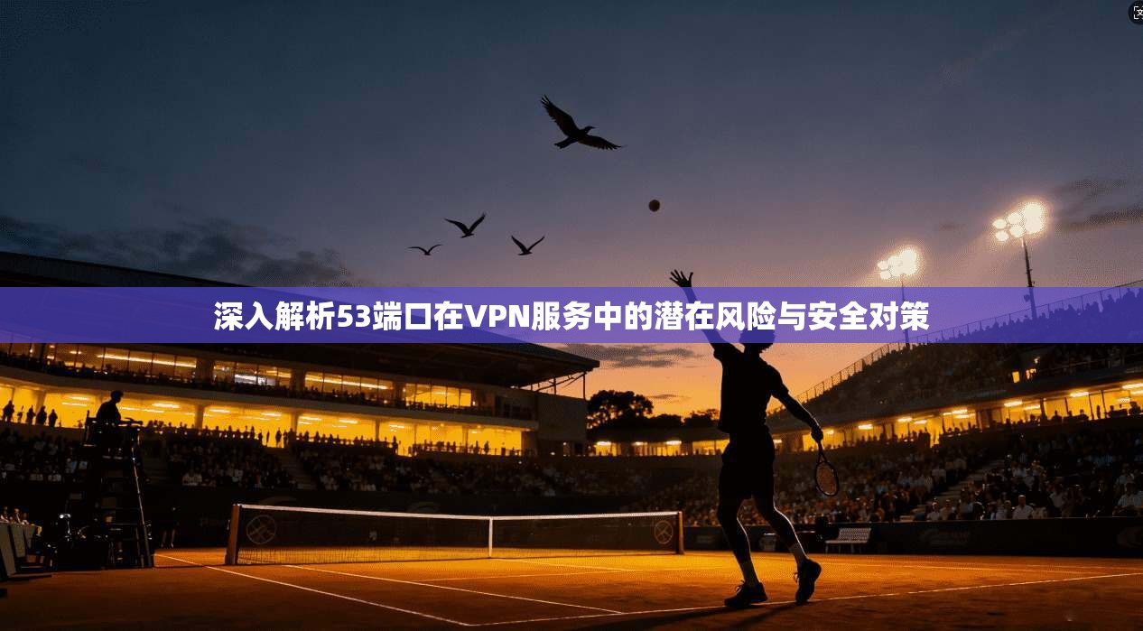 深入解析53端口在VPN服务中的潜在风险与安全对策