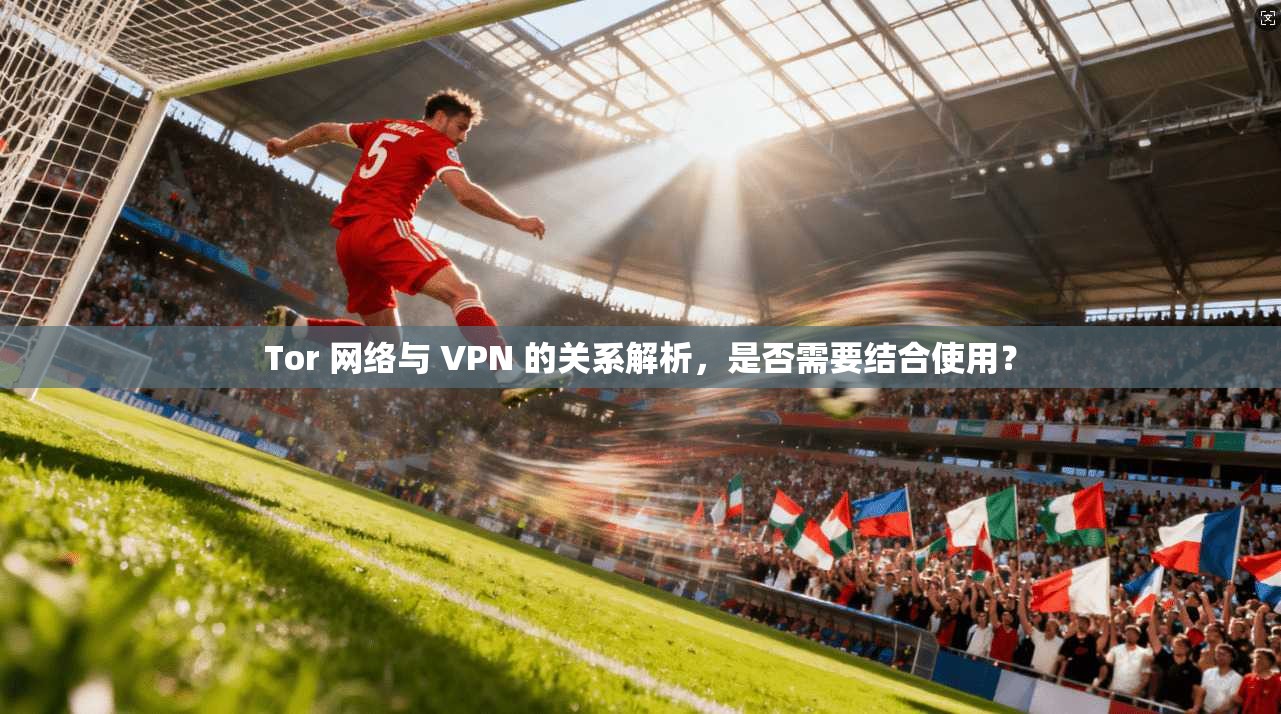 Tor 网络与 VPN 的关系解析，是否需要结合使用？