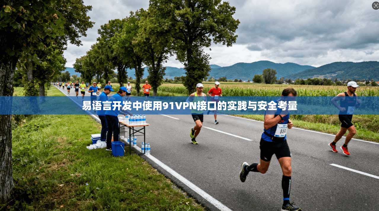 易语言开发中使用91VPN接口的实践与安全考量