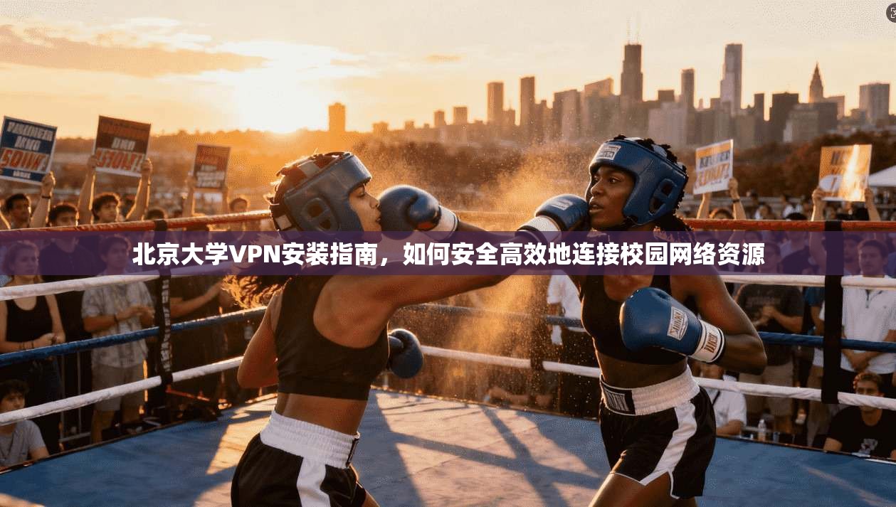 北京大学VPN安装指南，如何安全高效地连接校园网络资源