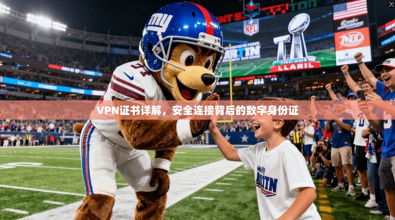 VPN证书详解，安全连接背后的数字身份证