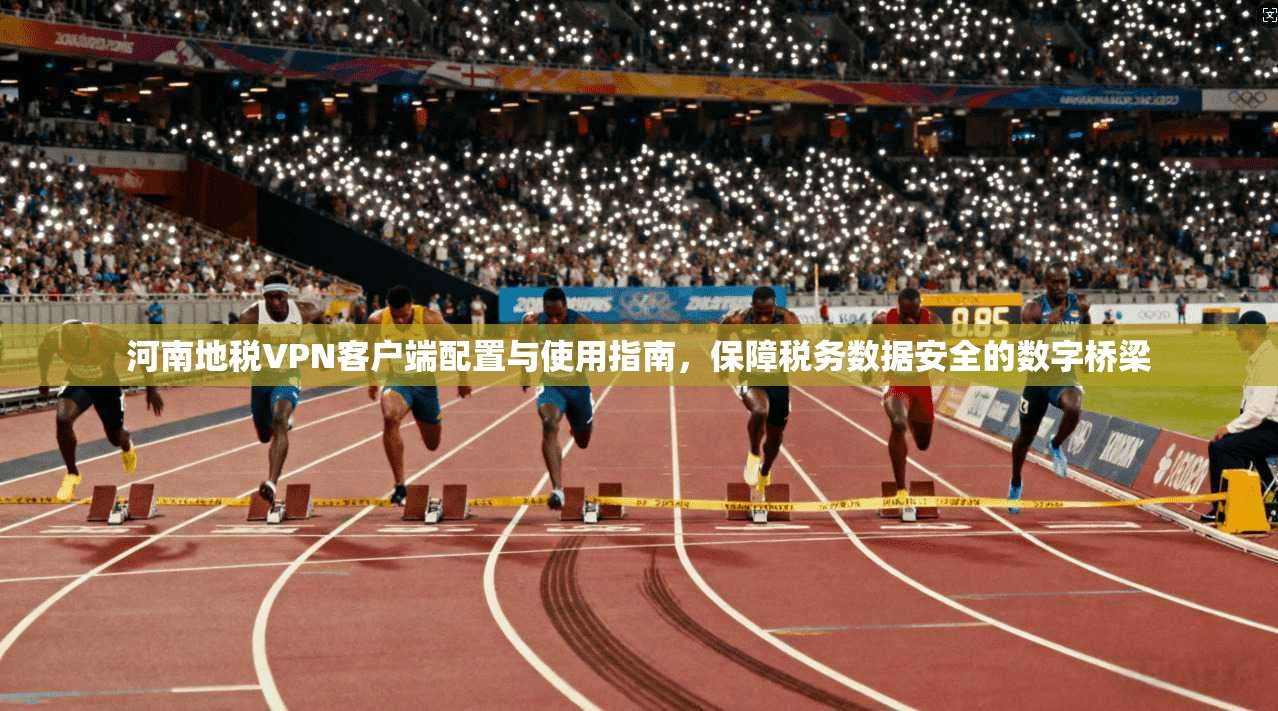 河南地税VPN客户端配置与使用指南，保障税务数据安全的数字桥梁