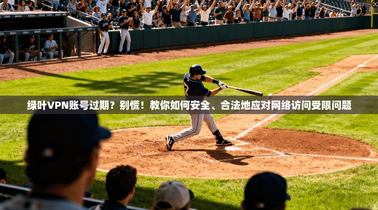 绿叶VPN账号过期？别慌！教你如何安全、合法地应对网络访问受限问题