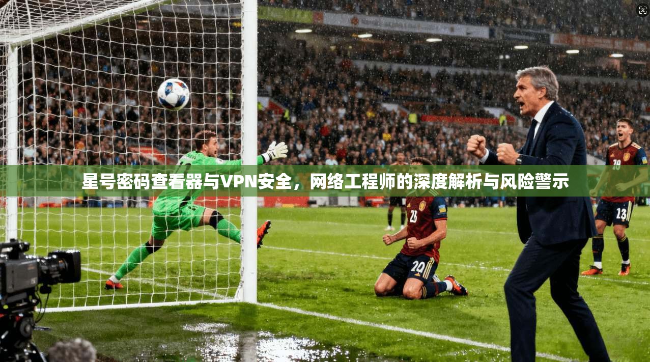 星号密码查看器与VPN安全，网络工程师的深度解析与风险警示