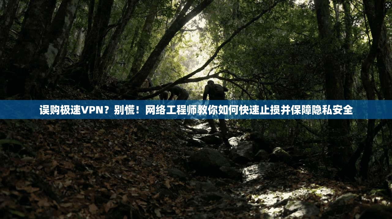 误购极速VPN？别慌！网络工程师教你如何快速止损并保障隐私安全