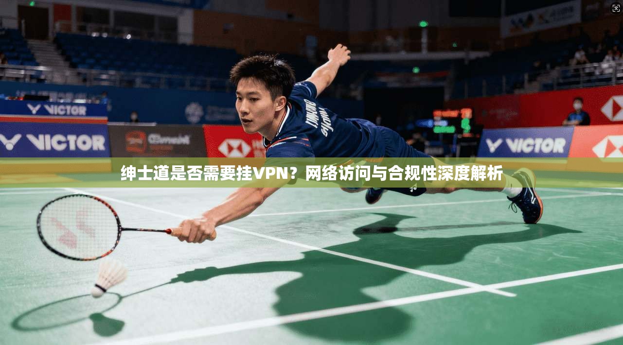 绅士道是否需要挂VPN？网络访问与合规性深度解析